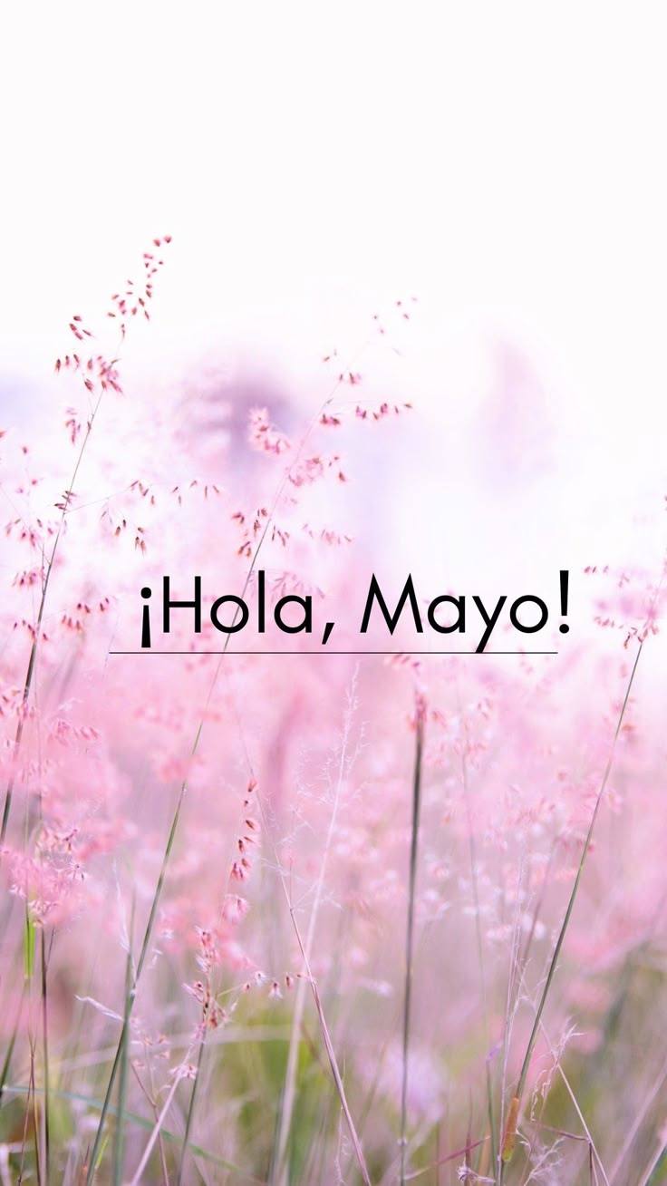 MAYO = TAURO